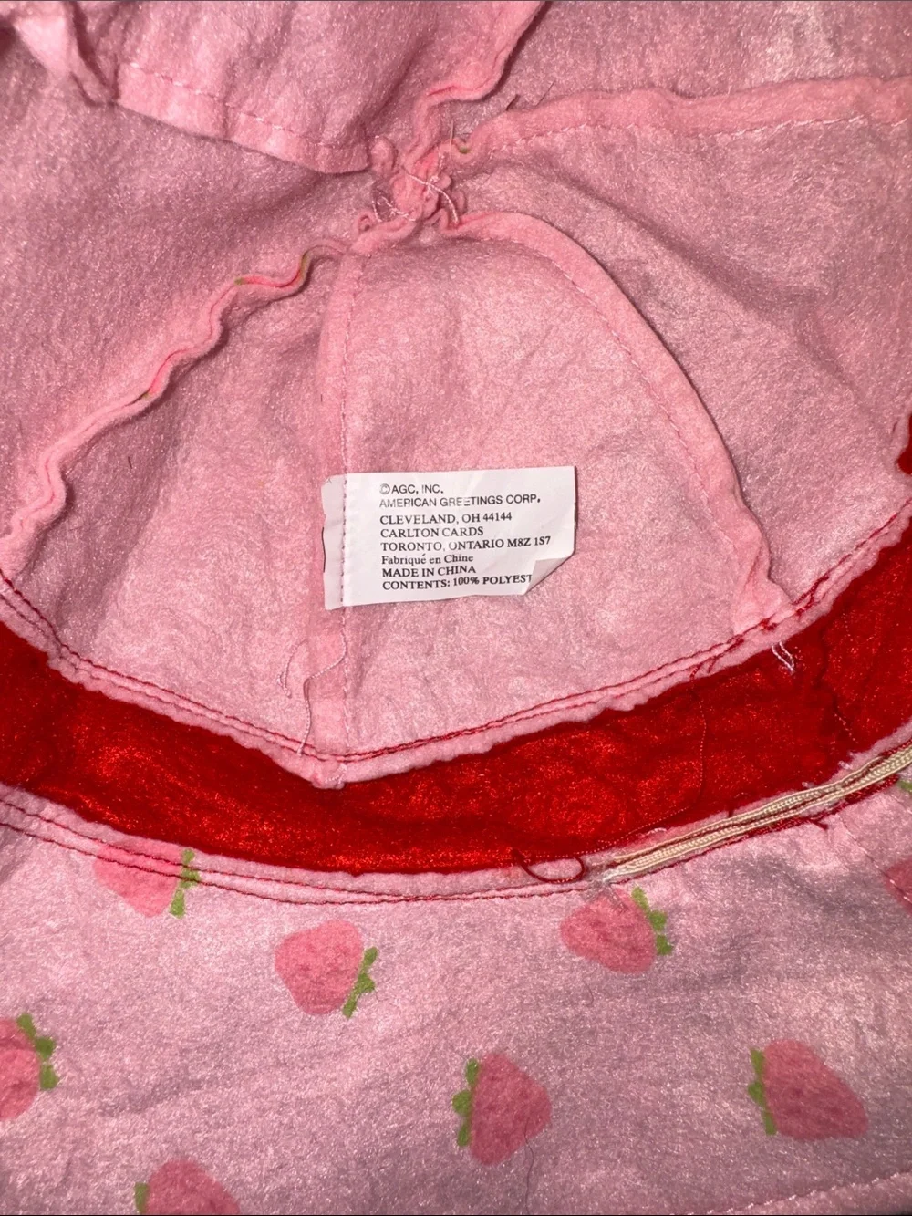 Strawberry Shortcake early 2000s